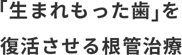 ご自身の「生まれもった歯」を復活させる根管治療